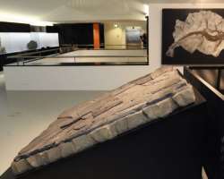 The fossil found from the area is kept in a museum designed by the Ticinese architect Mario Botta The fossil found from the area is kept in a museum designed by the Ticinese architect Mario Botta.
